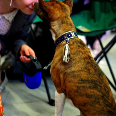 Rone 1 20180630 2080961064