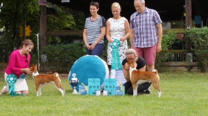 21.07.18 BKD Club Show Bingen Germany